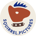 Stylized drawing of a squirrel head seen from the side, with an iro haircut, a studded collar and the text "squirrel.pictures" below it.